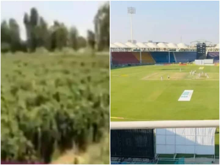 Cricket Stadium In Pakistan Now Being Used To Grow Chillies & Pumpkins - Watch Video