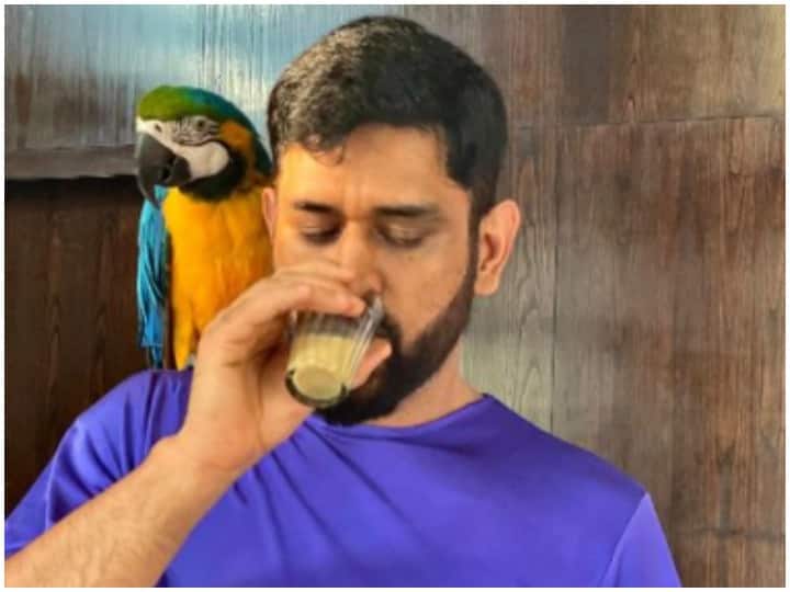Sakshi Dhoni Shares Pic Of Husband MS Dhoni's 'Chai Date' With Pet Macaw 'Honey'