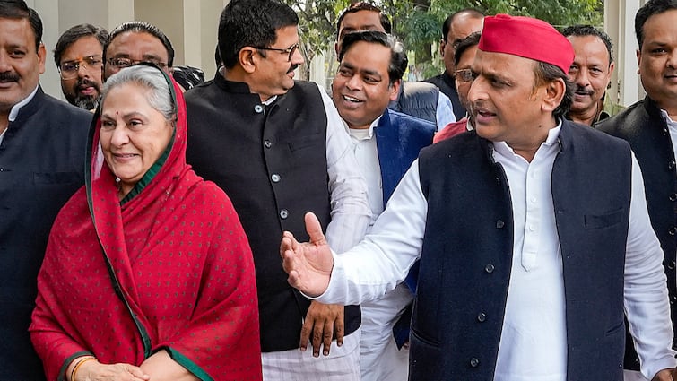 'जया बच्चन, आलोक रंजन पीडीए में नहीं': पल्लवी पटेल ने सपा के राज्यसभा उम्मीदवारों को वोट देने से इनकार किया
