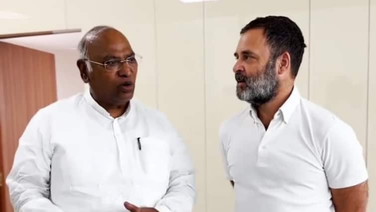 देखें: कांग्रेस नेता राहुल गांधी ने बताया कि वह हमेशा सफेद टी-शर्ट क्यों पहनते हैं
