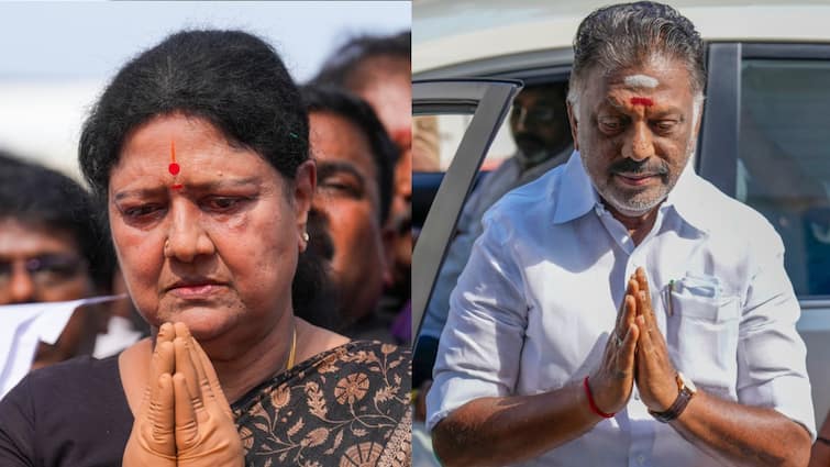 Lok Sabha Defeat Ousted Leaders O Panneerselvam, Sasikala Urge 