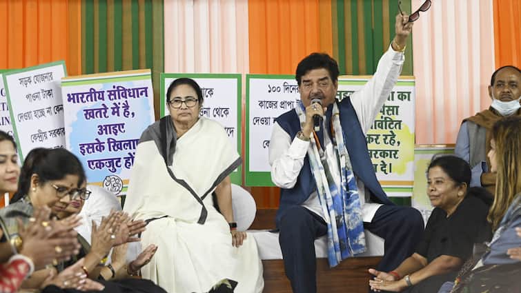 Mamata Banerjee Outsiders Lok Sabha Election Results 2024 West Bengal TMC Shatrughan Sinha Bohiragoto Yusuf Pathan Kirti Azad Lok Sabha Election Results 2024: As Shatrughan Sinha Notches Win For TMC, A Quick Look Back At Mamata Banerjee