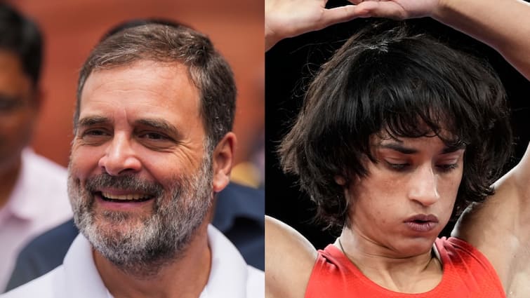 Rahul Gandhi Hails Wrestler Vinesh Phogat Entry Into Olympic Finals Congress Slams Modi BJP PM Modi 