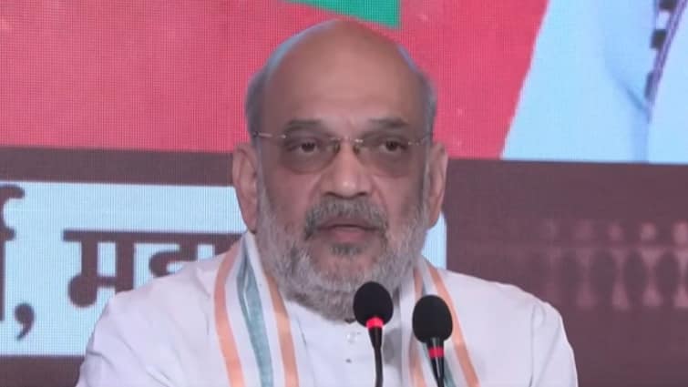 Maharashtra Elections 2024 Next CM Name To Be Decided By Mahayuti BJP After Polls Says Amit Shah Maharashtra Elections: Mahayuti Allies To Decide CM