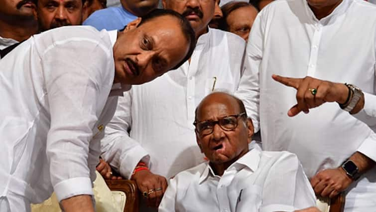 Maharashtra Election Results 2024 Ajit Pawar NCP Wins Big Despite Sharad Pawar Call For Decisive Defeat Maharashtra Poll Results: ‘Traitors’ Prevail? Ajit Pawar’s NCP Wins Big Despite Sharad Pawar’s Call For ‘Decisive’ Defeat