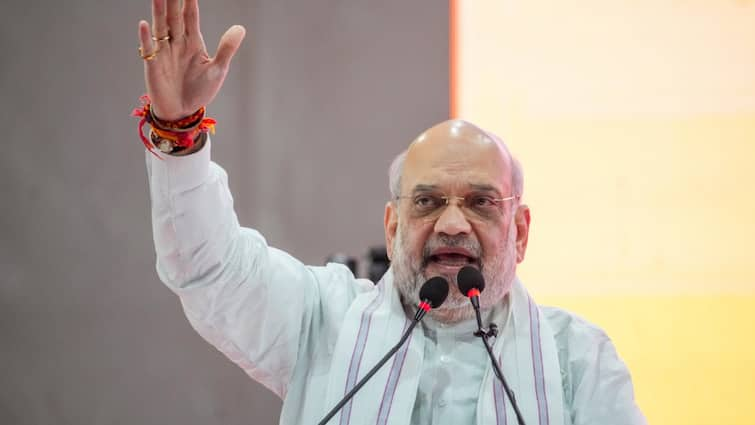 Maharashtra Assembly Elections 2024 Even If Indira Gandhi Comes Down From Heavens Amit Shah On Article 370 Rahul gandhi 