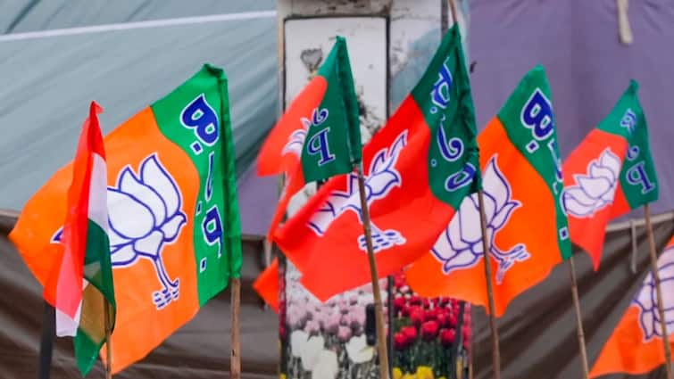 Delhi Assembly Polls 2025: Buzz Over Ticket Distribution In BJP Intensifies, CEC To Take Final Call On Candidates Delhi Assembly Polls 2025: Buzz Over Ticket Distribution In BJP Intensifies, CEC To Take Final Call On Candidates