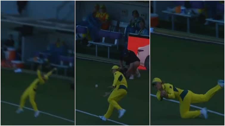 ashleigh-gardner-stunning-catch-australia-women-vs-england-women-3rd-odi-watch-viral-video-catch-of-the-year-decade-cricket THE FLYING AUSTRALIAN! Ashleigh Gardner Grabs 