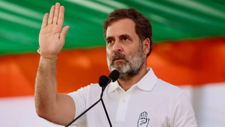 Delhi Election 2025 Congress Slams AAP Over Defamatory Poster Targeting Rahul Gandhi Urges Action From ECI Delhi Congress Slams AAP Over ‘Defamatory Poster’ Targeting Rahul Gandhi, Urges Action From ECI