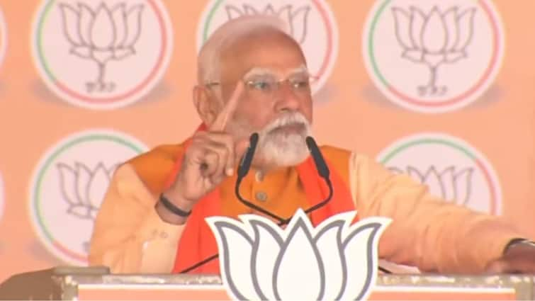 Delhi Elections 2025 PM Modi RK Puram Rally Spots His Portrait Asks For Address Will Send Letter Watch Video PM Modi Spots His Portrait Among Crowd During Delhi Election Rally, Asks For Address: 