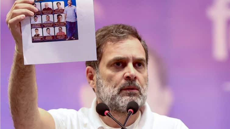 Khambe Se Seedha Sheesh Mahal Rahul Gandhi Mocks Arvind Kejriwal Amid Delhi Poll Campaign — WATCH ‘Khambe Se Seedha Sheesh Mahal’: Rahul Gandhi Mocks Kejriwal, Dares Him To Drink Yamuna Water — WATCH