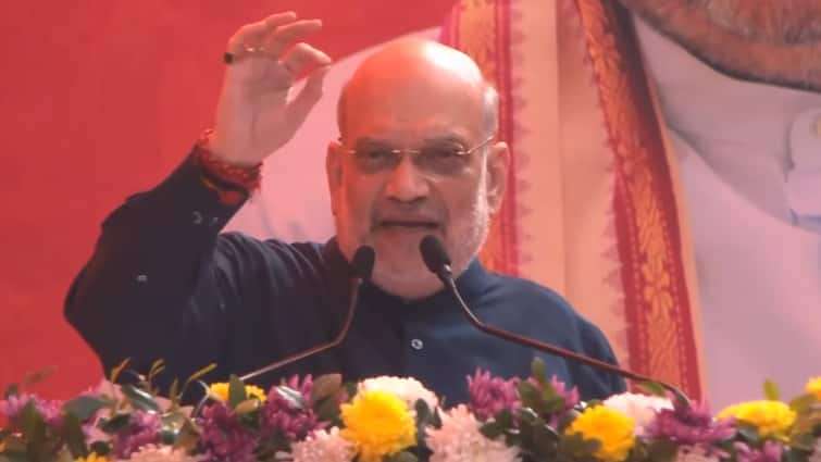 Delhi Elections 2025 We Will Construct Yamuna River Front In 3 Years After Voted to Power: Union Home Minister Amit Shah We Will Construct Yamuna River Front In 3 Years After Voted To Power: Amit Shah In Delhi Rally