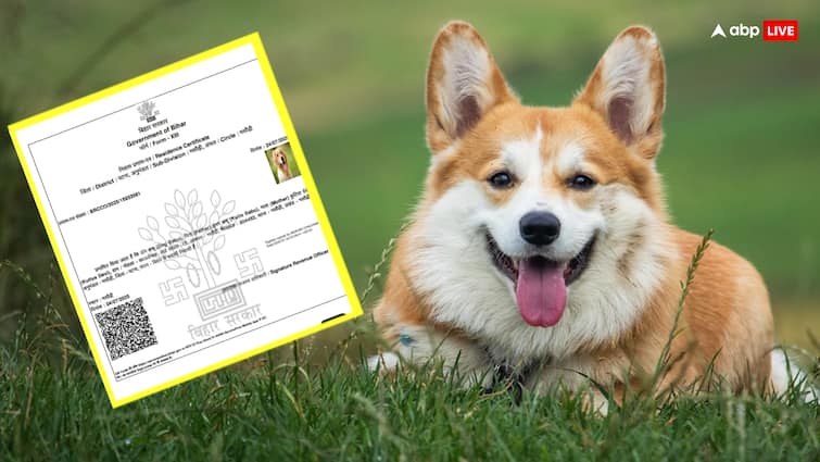 ‘Dog Babu To Dogesh Babu’: Bihar’s Fake Certificate Saga Gets Funnier; Here’s What ECI Said ‘Dog Babu To Dogesh Babu’: Bihar’s Fake Certificate Saga Gets Funnier; Here’s What ECI Said