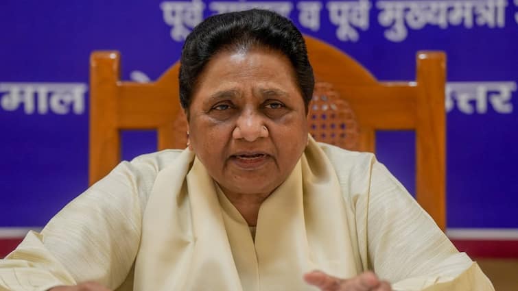 Bihar Elections 2025 Mayawati BSP To Fight Solo Nephew Akash Anand Gets Key Role Mayawati