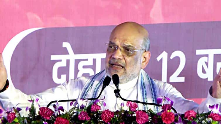 Bihar Assembly Elections Amit Shah Promises Four Diwalis For Bihar  Slams RJD For Fielding Shahabuddin