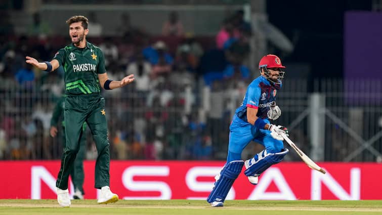 pakistan cricket board seeks replacement after afghanistan withdraws from tri series Pakistan Cricket Board Seeks Replacement After Afghanistan Withdraws From Tri-Series