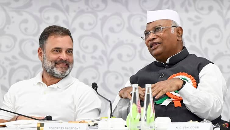 Bihar Elections Rahul Gandhi To Rally INDIA Bloc After Chhath Puja Amidst Ticket Sale Allegations Rahul Gandhi To Rally INDIA Bloc In Bihar Post-Chhath Puja Amidst Ticket Sale Allegations
